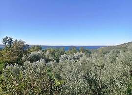 Relax & Explore in Dalmatia