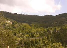 Spacious Countryside Escape