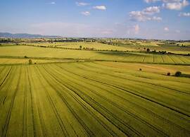 Holiday Home in Cortona