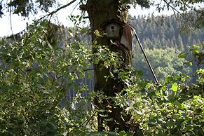 Ruhige Wohnung im Sauerland mit Terrasse