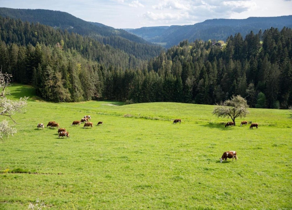 Schwarzwald-ferienwohnung auf dem Bauernhof