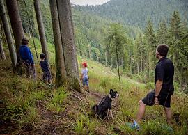 Schwarzwald-ferienwohnung auf dem Bauernhof