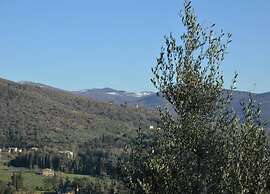 Quiet Farmhouse in Cortona