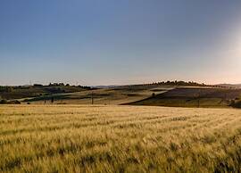 Quiet Farmhouse in Cortona