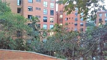 Mio Lofts