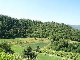Holiday Home in Dicomano