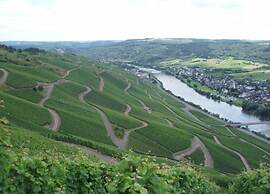 Romantischer Aufenthalt mit Blick auf den Weinberg