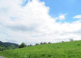 Natur-blockhaus in Waltershausen
