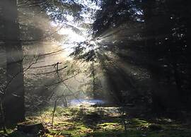 Comfort & Nature in Dankerode