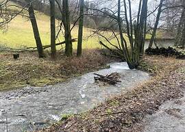 Wohnung in Usseln Nahe Skiliften