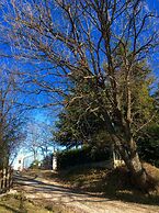 Cottage in Montefiore Near Forest and Beach