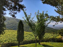 Farmhouse in Loro Ciuffenna With Pool