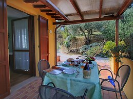 Pet-friendly Cottage With Pool