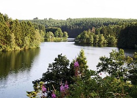 Robertville Lakeview Escape