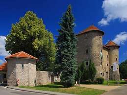 Holiday Home in Ogulin With Pool & Rafting
