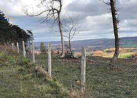 Rendeux Forest View Retreat