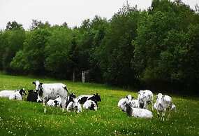 Stavelot Sauna & Garden Stay