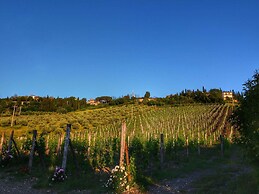 Escape to Vineyards, Elba