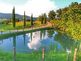 Escape to Vineyards, Elba