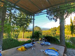 Escape to Vineyards, Elba