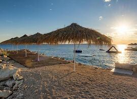 Island Escape With Pool