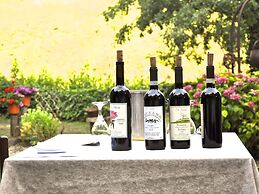 Mansion in Langhe With Pool and Winery Charm