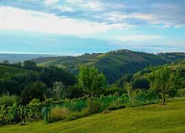 Mansion in Langhe With Pool and Winery Charm