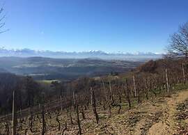 Mansion in Langhe With Pool and Winery Charm