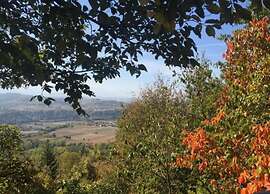 Mansion in Langhe With Pool and Winery Charm