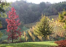 Mansion in Langhe Hills With Pool