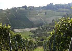 Mansion in Langhe Hills With Pool