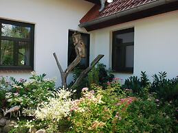 Apartment in Dargun With Pool and Terrace