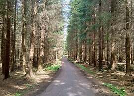Forest Escape With Garden