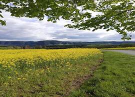 Wohnung in Lichtenhain mit Teich