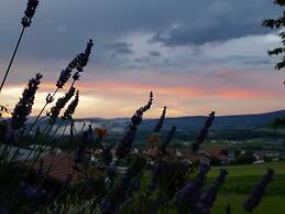 Apartment Waldkirchen Near Ski Lifts