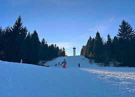 Apartment Waldkirchen Near Ski Lifts