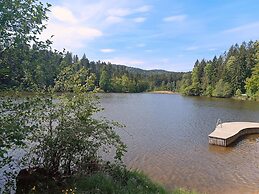 Apartment Waldkirchen Near Ski Lifts