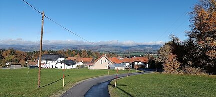 Apartment Waldkirchen Near Ski Lifts
