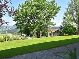 Apartment Waldkirchen Near Ski Lifts