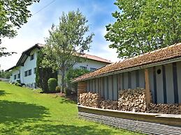 Apartment Waldkirchen Near Ski Lifts