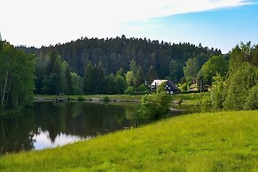 Relaxing Forest Escape With BBQ