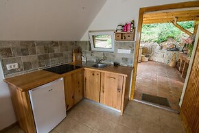 Vineyard cottage Rataj 2