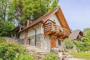Vineyard cottage Rataj 2