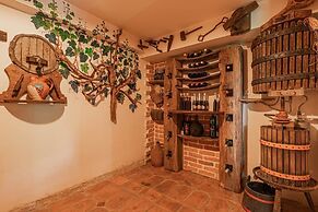 Vineyard cottage Rataj 2