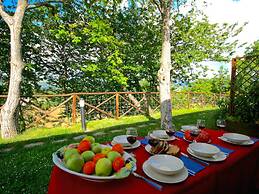 Farmhouse in Cagli With Pool & BBQ Fun