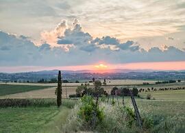 Holiday Home in Tuscany With Pool & Vineyards