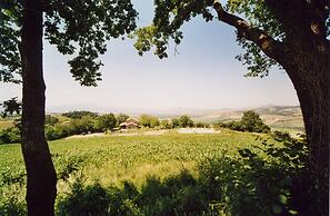 Farmhouse in Proceno With Pool
