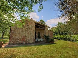 Farmhouse in Proceno With Pool