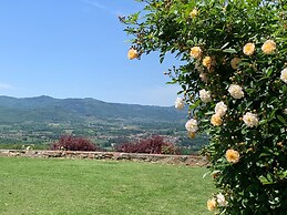 Apartment in Pergine Valdarno With Pool