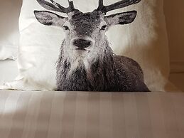 Tranquil Stay in Vielsalm